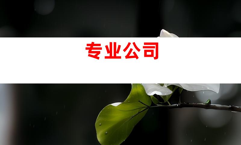 专业公司