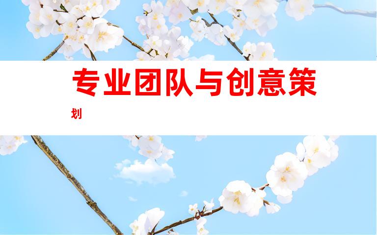 专业团队与创意策划