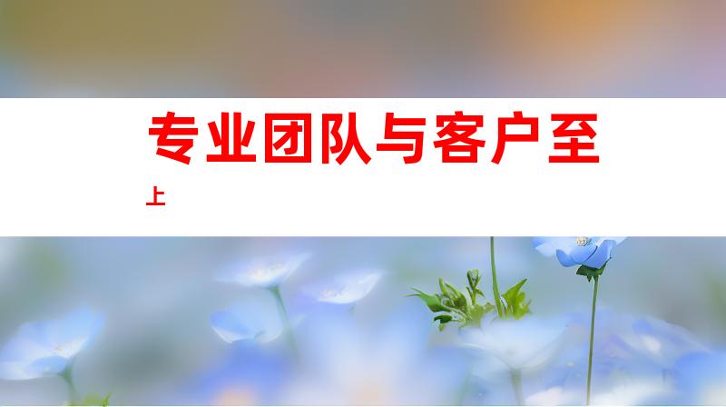 专业团队与客户至上