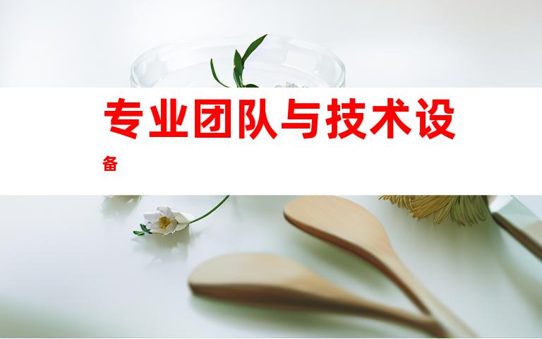 专业团队与技术设备