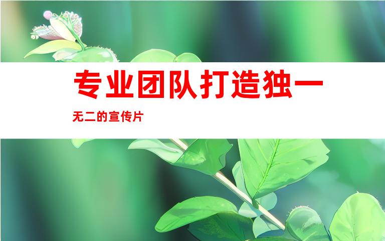 专业团队打造独一无二的宣传片