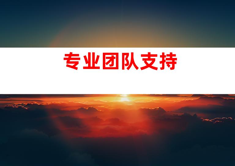 专业团队支持