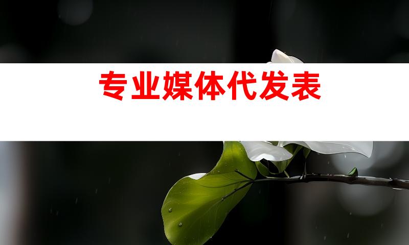 专业媒体代发表