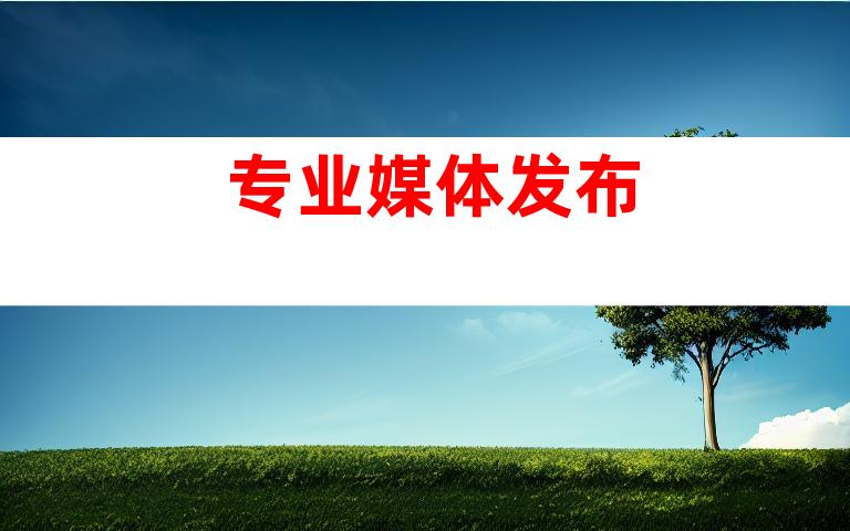 专业媒体发布