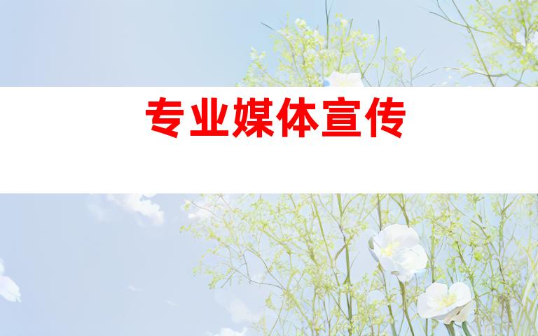 专业媒体宣传