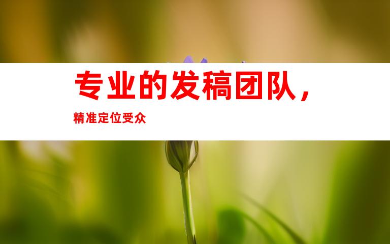 专业的发稿团队，精准定位受众