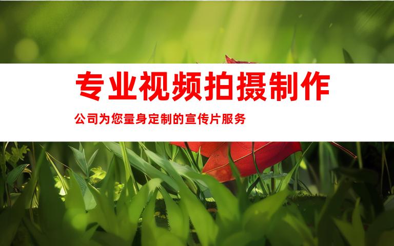 专业视频拍摄制作公司为您量身定制的宣传片服务