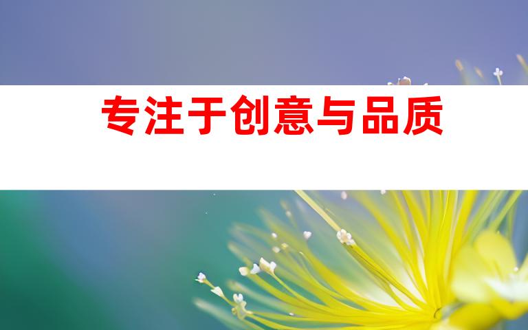 专注于创意与品质