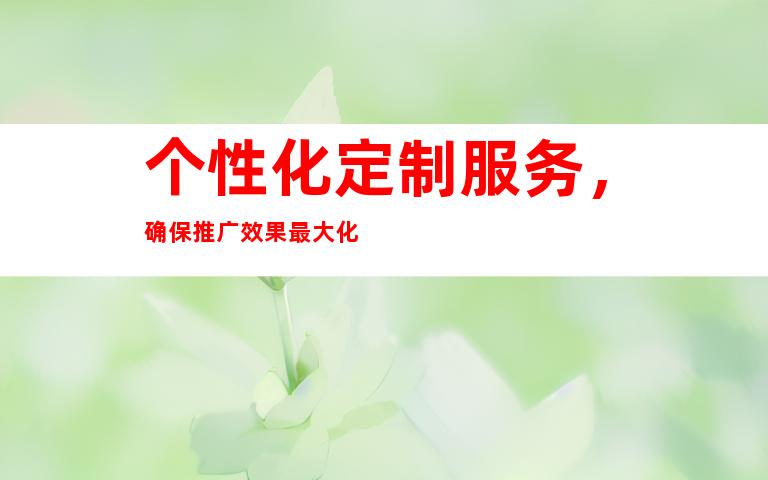 个性化定制服务，确保推广效果最大化