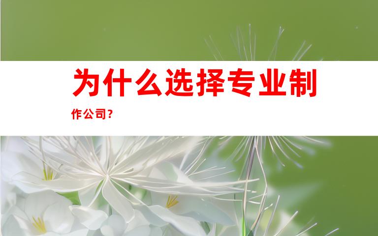 为什么选择专业制作公司？