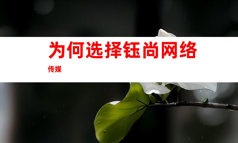 为何选择钰尚网络传媒