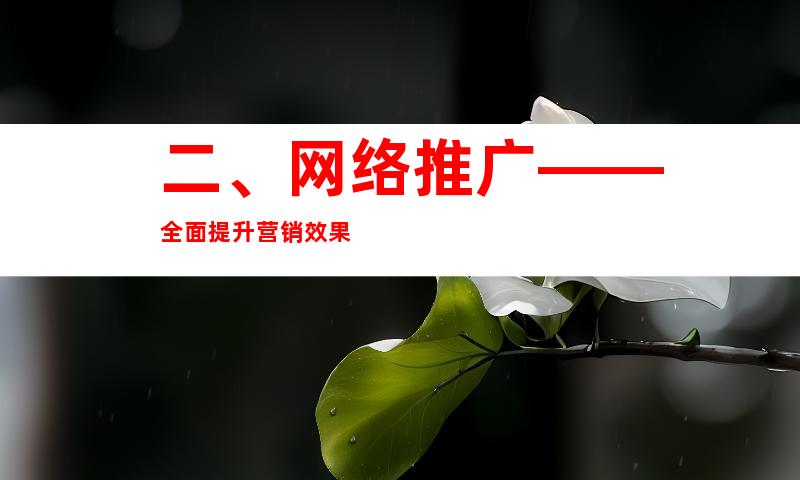 二、网络推广——全面提升营销效果