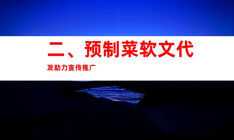 二、预制菜软文代发助力宣传推广