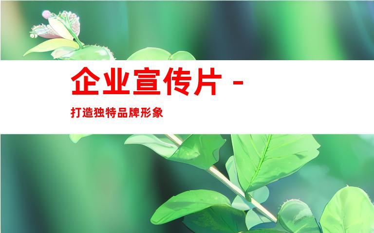 企业宣传片 - 打造独特品牌形象