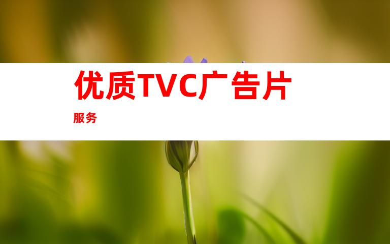 优质TVC广告片服务