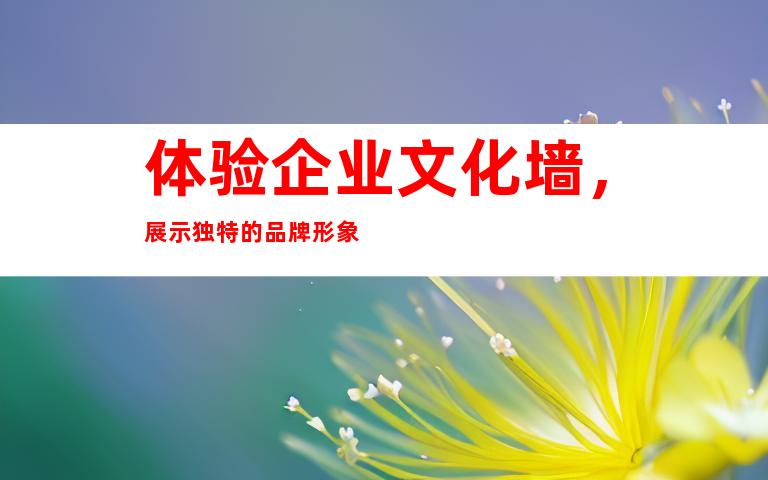 体验企业文化墙，展示独特的品牌形象