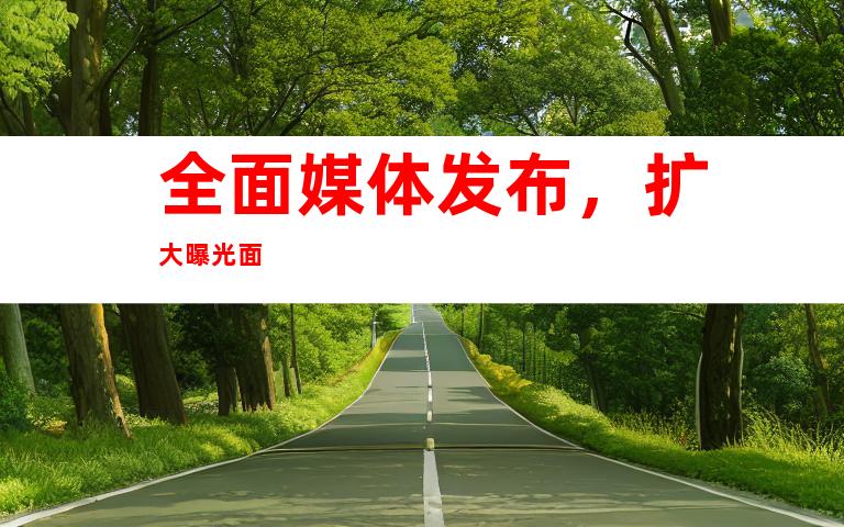 全面媒体发布，扩大曝光面