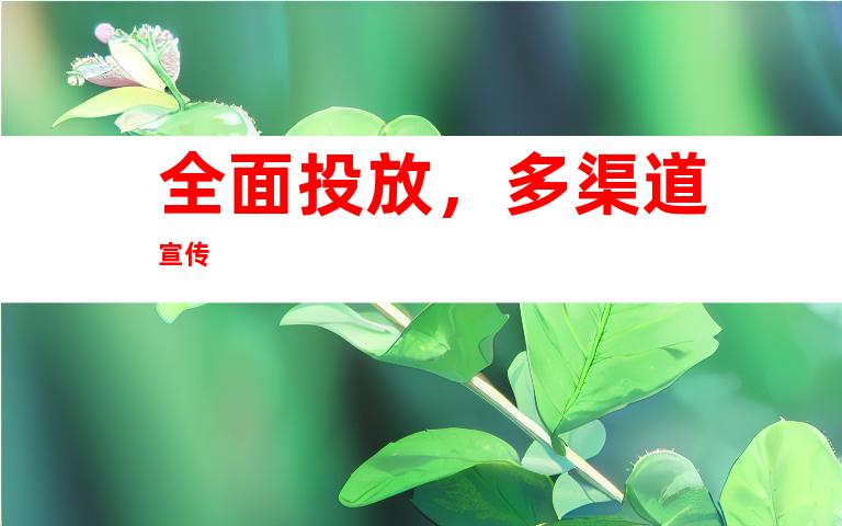 全面投放，多渠道宣传