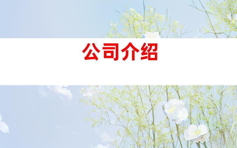 公司介绍