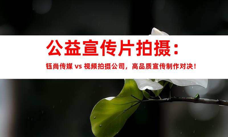 公益宣传片拍摄：钰尚传媒 vs. 视频拍摄公司，高品质宣传制作对决！