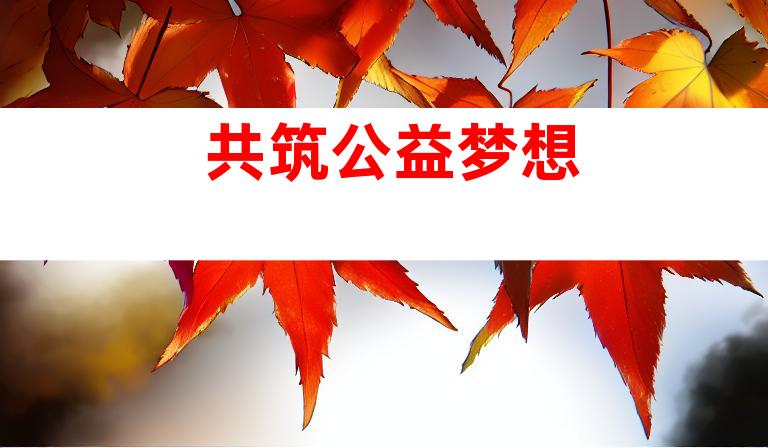 共筑公益梦想