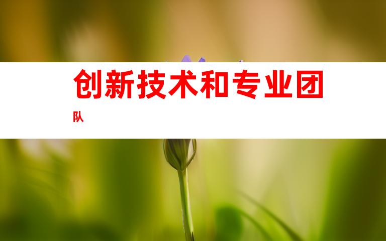 创新技术和专业团队