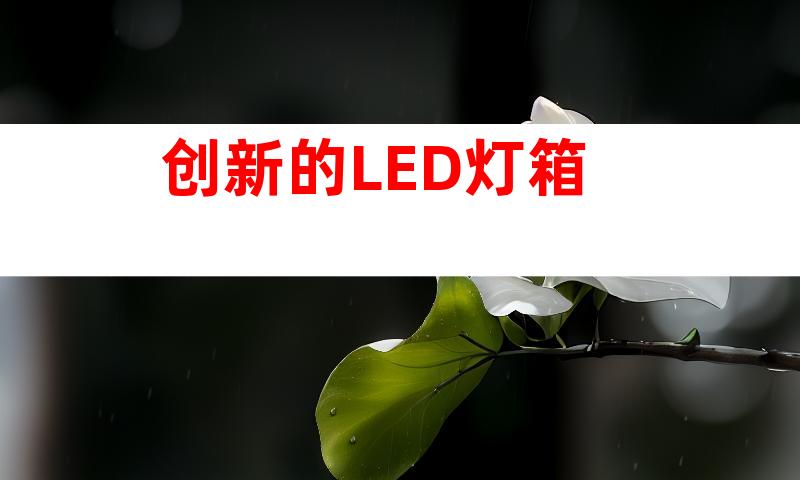 创新的LED灯箱