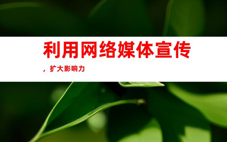 利用网络媒体宣传，扩大影响力