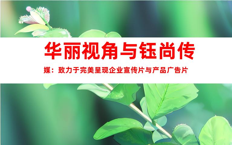 华丽视角与钰尚传媒：致力于完美呈现企业宣传片与产品广告片