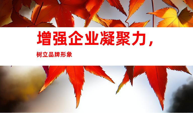 增强企业凝聚力，树立品牌形象