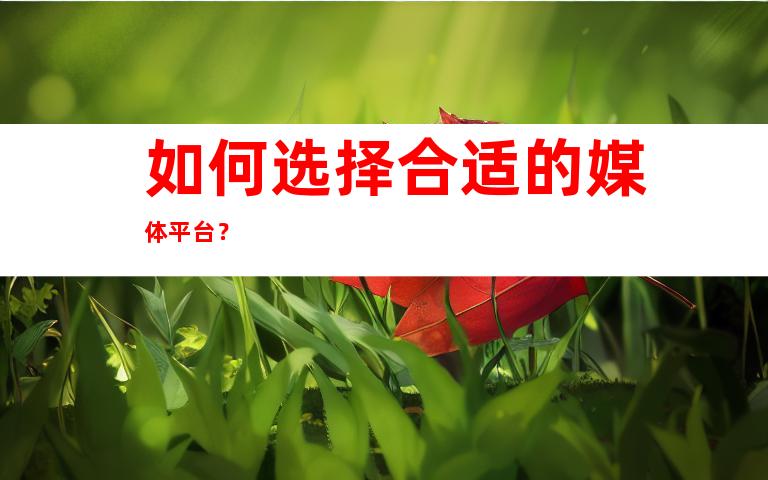 如何选择合适的媒体平台？