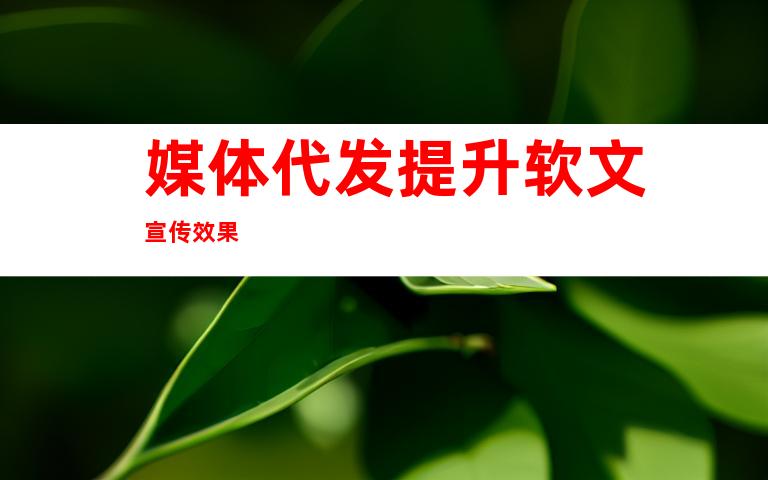 媒体代发提升软文宣传效果