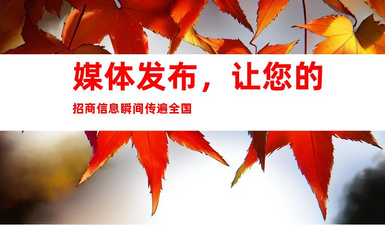 媒体发布，让您的招商信息瞬间传遍全国