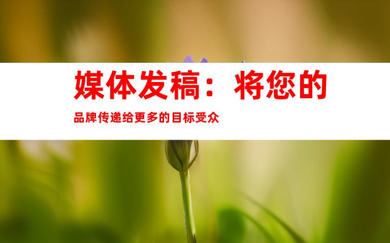 媒体发稿：将您的品牌传递给更多的目标受众