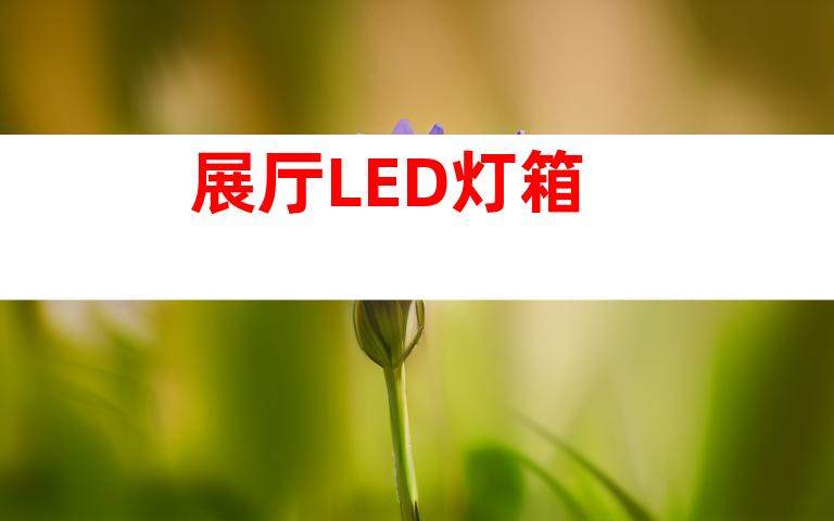 展厅LED灯箱