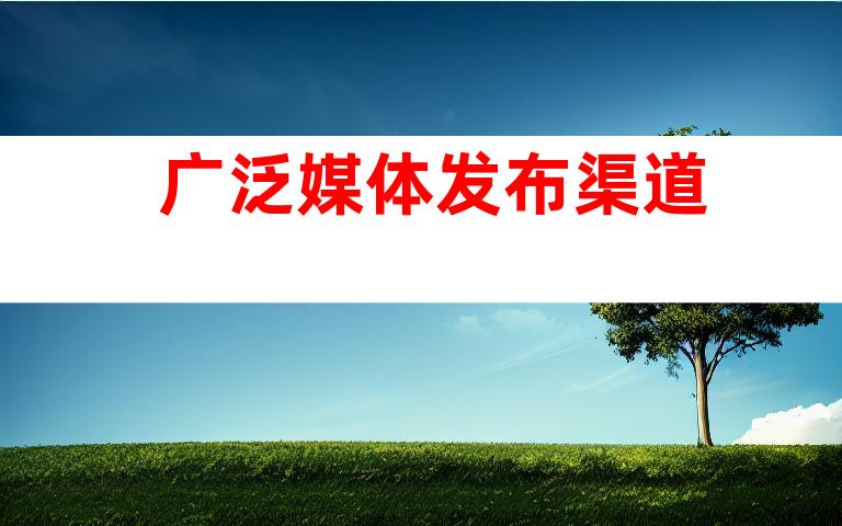 广泛媒体发布渠道