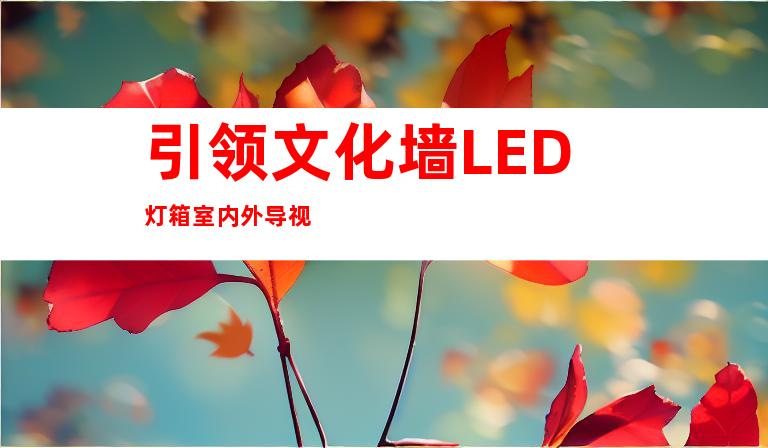 引领文化墙LED灯箱室内外导视