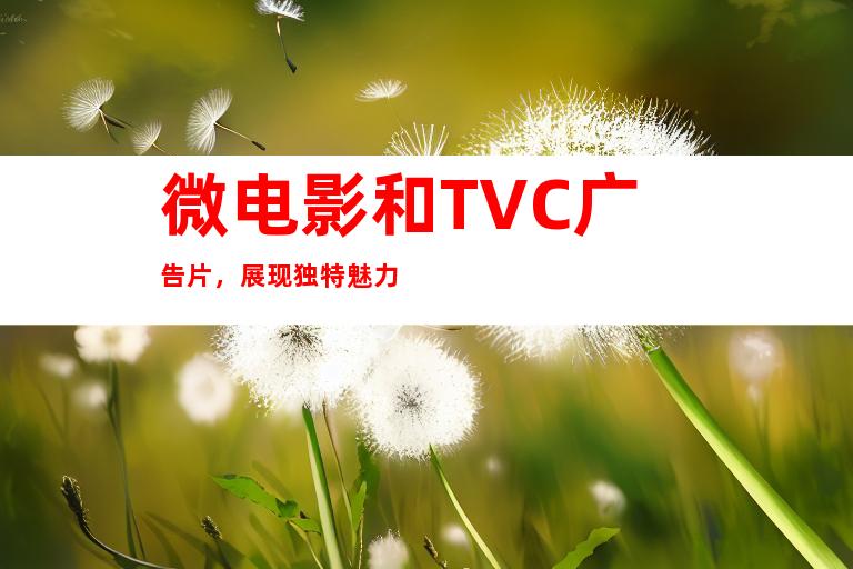 微电影和TVC广告片，展现独特魅力