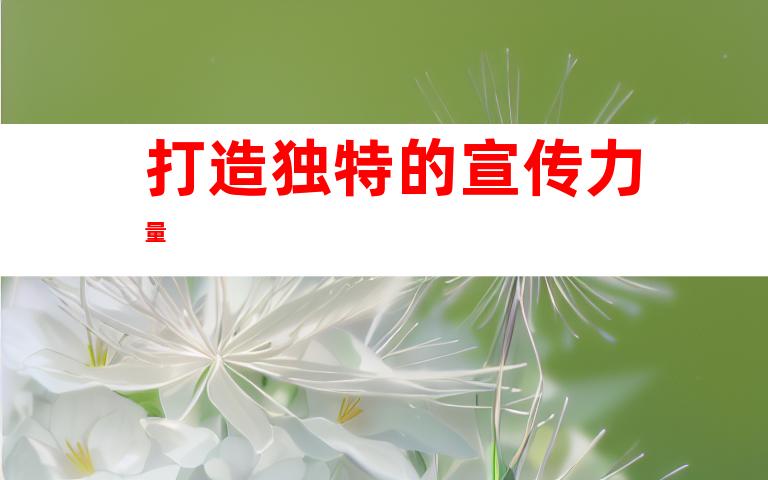 打造独特的宣传力量