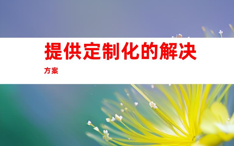 提供定制化的解决方案