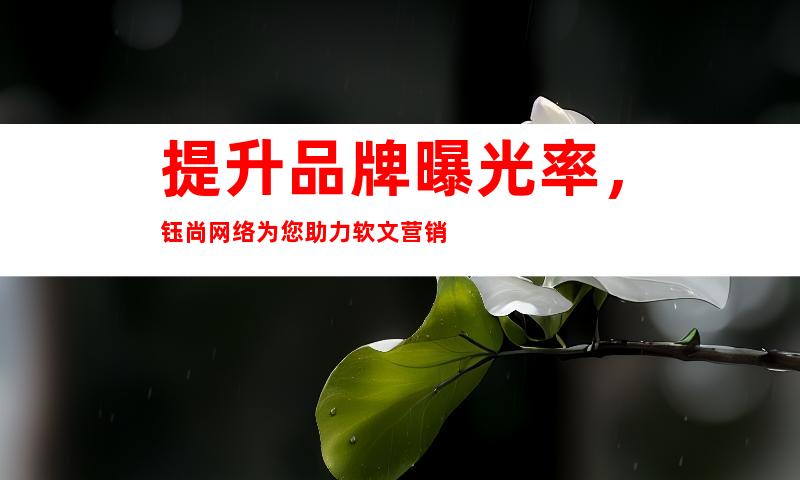 提升品牌曝光率，钰尚网络为您助力软文营销