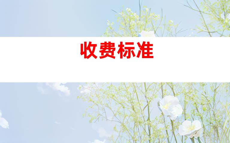 收费标准