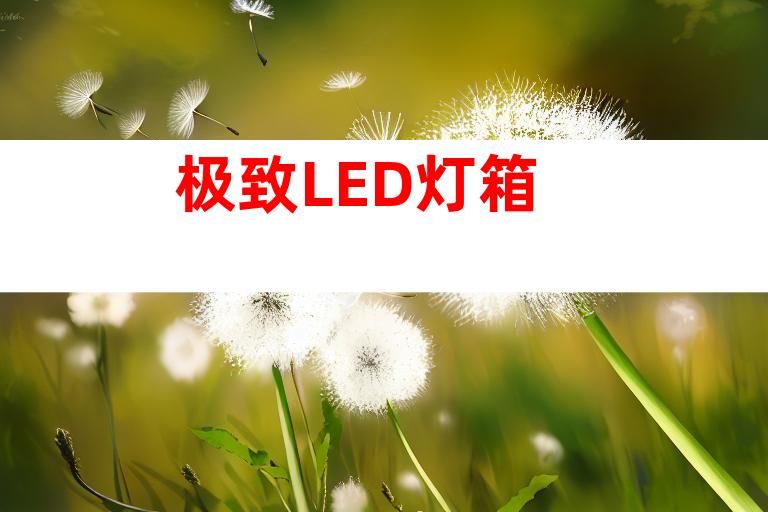 极致LED灯箱