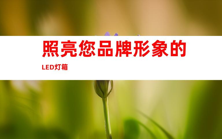 照亮您品牌形象的LED灯箱