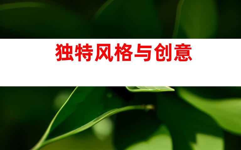 独特风格与创意