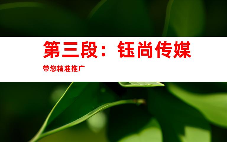 第三段：钰尚传媒带您精准推广