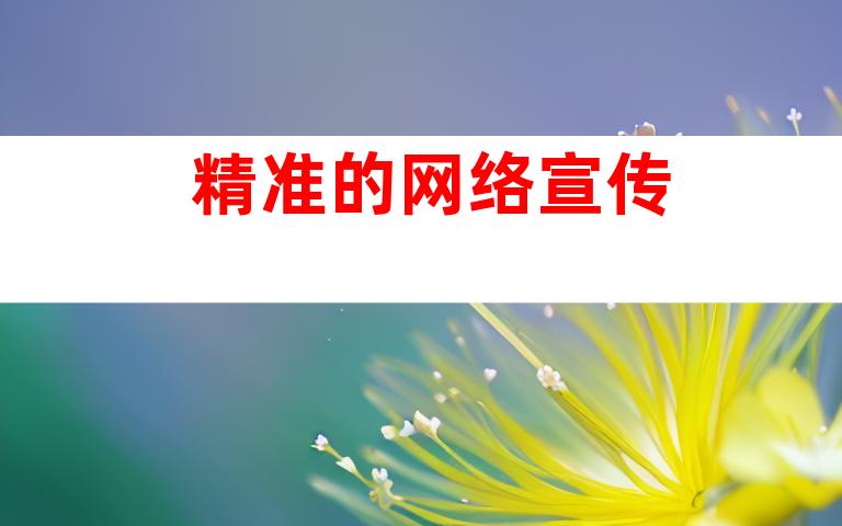 精准的网络宣传