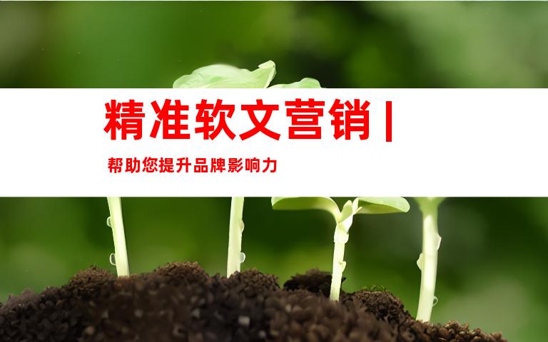 精准软文营销 | 帮助您提升品牌影响力