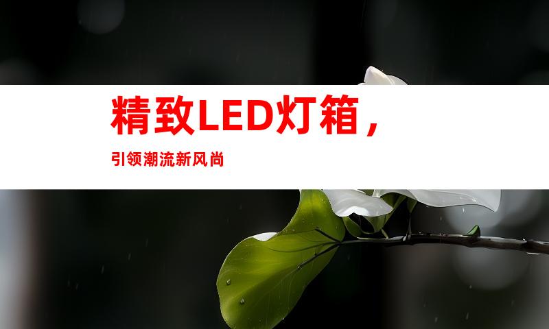 精致LED灯箱，引领潮流新风尚