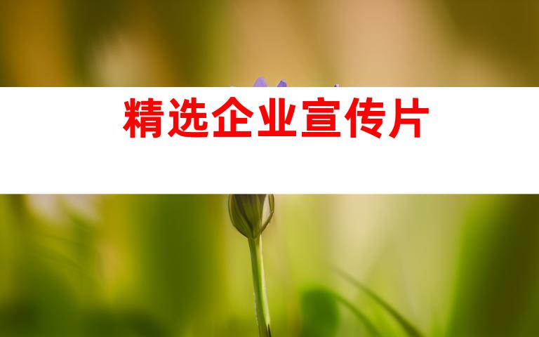 精选企业宣传片